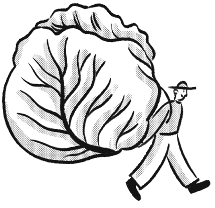 Man with cabbage